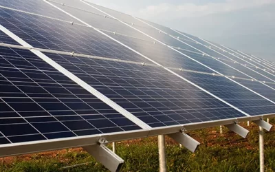 Solar Farm Creates Quite the BUzz