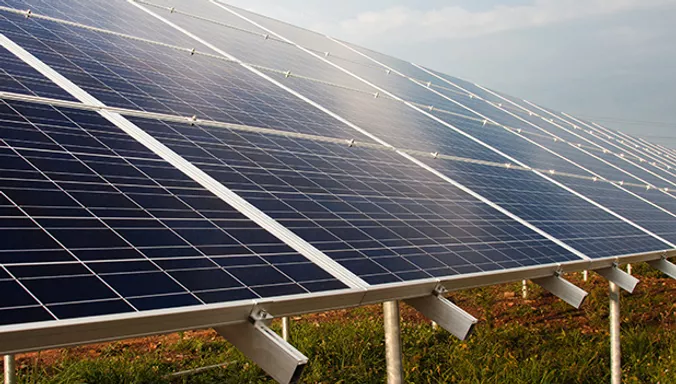 Solar Farm Creates Quite the BUzz